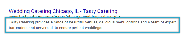 Meta Description in Search Results